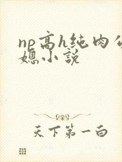 np高h纯肉公媳小说封面