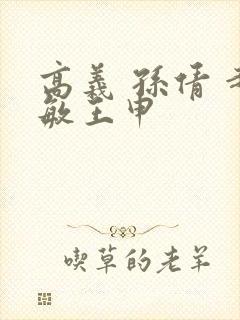 高义 孙倩 赵敏王申