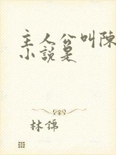 主人公叫陈平的小说是