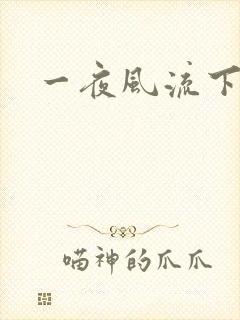 一夜风流下载封面