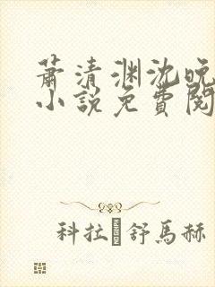 萧清渊沈晚棠的小说免费阅读封面