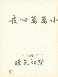 夜心万万小说