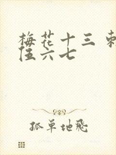 梅花十三 刺客伍六七