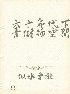 六十年代下乡知青储物空间