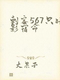 刺客567只暗影宿命封面