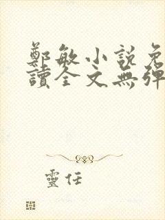 郑敏小说免费阅读全文无弹窗封面