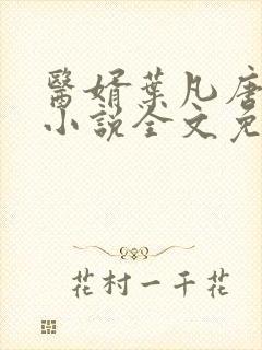 医婿叶凡唐若雪小说全文免费阅读