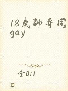 18岁帅哥同志gay