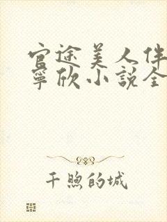 官途美人伴林峰宁欣小说全文阅读