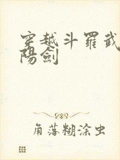 穿越斗罗武魂阴阳剑