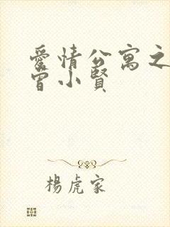 爱情公寓之极品曾小贤封面