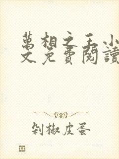 万相之王小说全文免费阅读笔趣阁封面