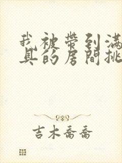 我被带到满是玩具的房间挑调作文