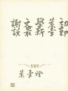 谢文学叶初瑗小说最新章节免费阅读