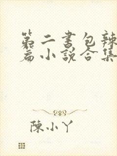 第二书包辣网短篇小说合集