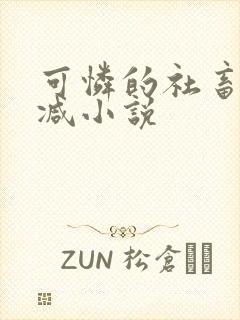 可怜的社畜未删减小说