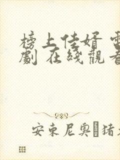 榜上佳婿 电视剧 在线观看