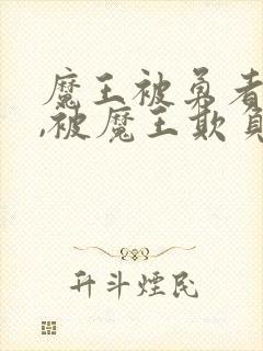 魔王被勇者攻了,被魔王欺负了是什么封面