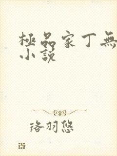 极品家丁无删减小说