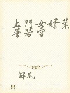 上门女婿叶凡与唐若雪