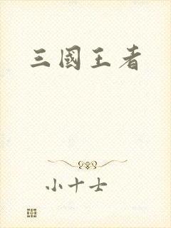 三国王者
