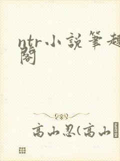 ntr小说笔趣阁封面