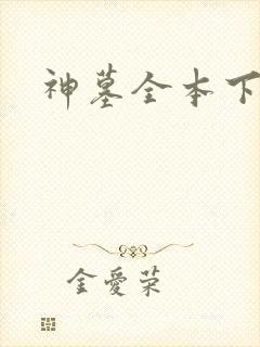 神墓全本下载封面