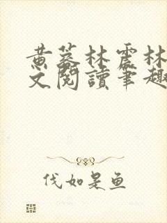 黄蓉林震林震全文阅读笔趣阁封面