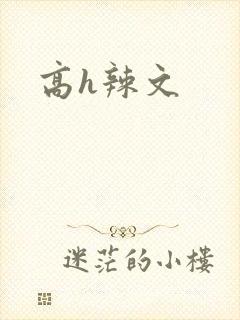 高h辣文
