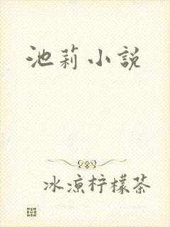 池莉小说