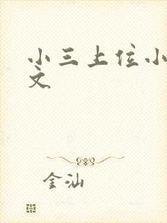 小三上位小说全文