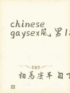 chinesegaysex风男181069
