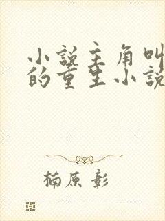 小说主角叫陈阳的重生小说