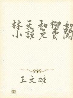 林天和柳如烟的小说免费阅读