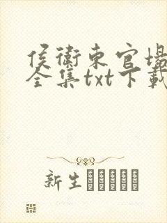 侯卫东官场笔记全集txt下载封面