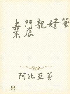 上门龙婿笔趣阁叶辰封面