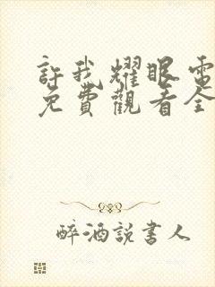 许我耀眼电视剧免费观看全集高清版封面