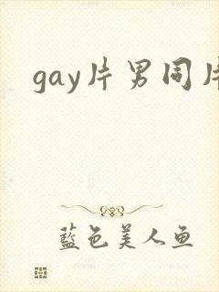 gay片男同片封面