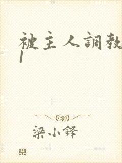 被主人调教1v1封面