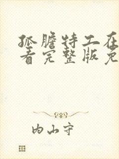 孤胆特工在线观看完整版免费