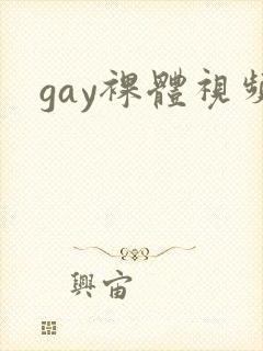 gay裸体视频封面