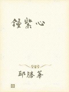 钟紫心封面