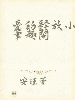 爱的释放小说 笔趣阁