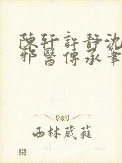 陈轩许静沈冰岚邪医传承笔趣阁封面