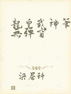 龙皇武神笔趣阁无弹窗
