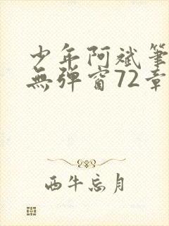 少年阿斌笔趣阁无弹窗72章