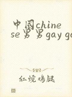中国chinese男男gay gay激情av封面