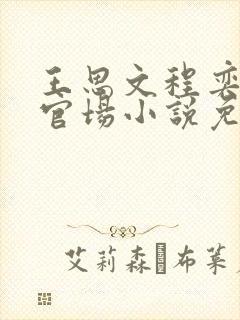 王思文程奕雪的官场小说免费阅读