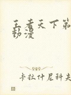 王者天下第三季动漫