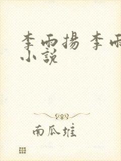 李雨扬 李雨心小说封面